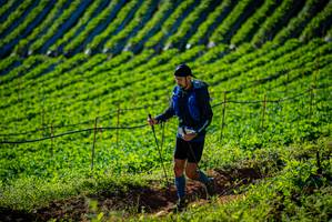 BIB: 
                            <button type="button" onclick="openModal(19160426)" class="btn btn-primary btn-sm float-right btn-popup" data-toggle="modal" data-target=".modal-high-quality">
                        <i class="fas fa-shopping-cart"></i> Add to Cart
                    </button>
                                            <button type="button" onclick="isThisMe(19160426, true)" class="btn btn-success btn-sm float-right btn-popup btn-isme hidden" data-toggle="tooltip" data-placement="bottom" title="นี่คือรูปของคุณใช่ไหม คลิกที่นี่เพื่อเอาเข้าอัลบั้ม">
                        <i class="fas fa-plus"></i> Add to album
                    </button>
                    <button type="button" onclick="isThisMe(19160426, false)" class="btn btn-warning btn-sm float-right btn-popup btn-isnotme hidden">
                        <i class="fas fa-ban"></i> Remove from album
                    </button>